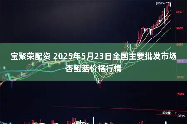 宝聚荣配资 2025年5月23日全国主要批发市场杏鲍菇价格行情