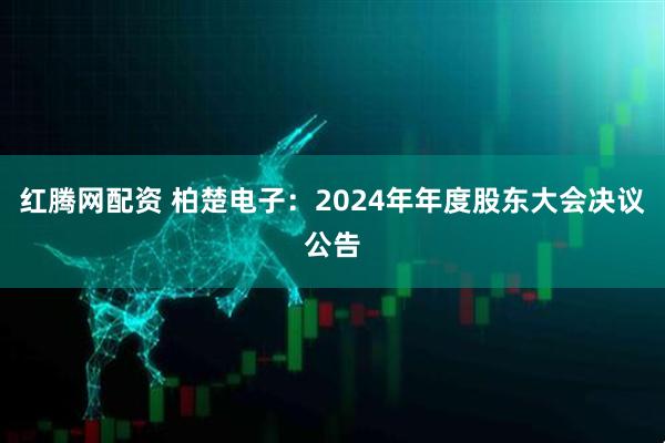 红腾网配资 柏楚电子：2024年年度股东大会决议公告