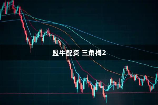 盟牛配资 三角梅2