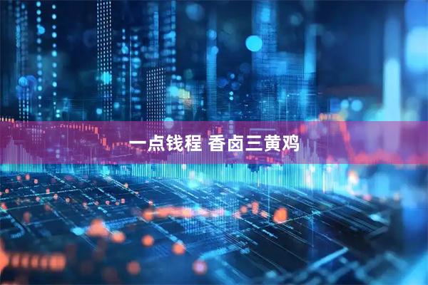 一点钱程 香卤三黄鸡