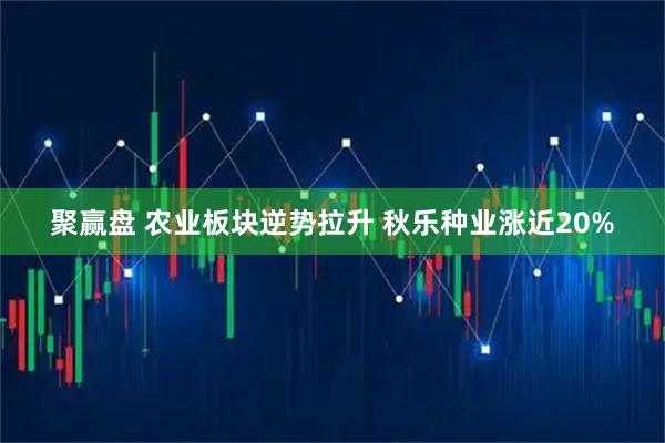 聚赢盘 农业板块逆势拉升 秋乐种业涨近20%