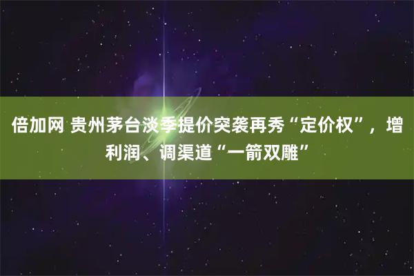 倍加网 贵州茅台淡季提价突袭再秀“定价权”，增利润、调渠道“一箭双雕”